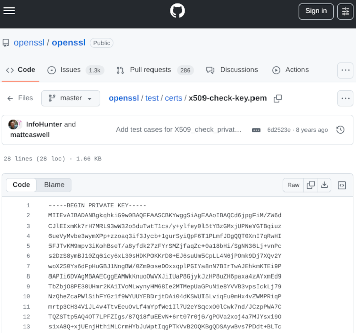 Private key on Github